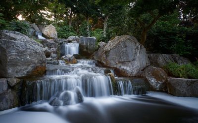 FORMATION: L&rsquo;eau et la forêt « Captages et gestion forestière »